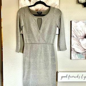 BEBE SZ S/P FABULOUS Silver Metallic Bodycon